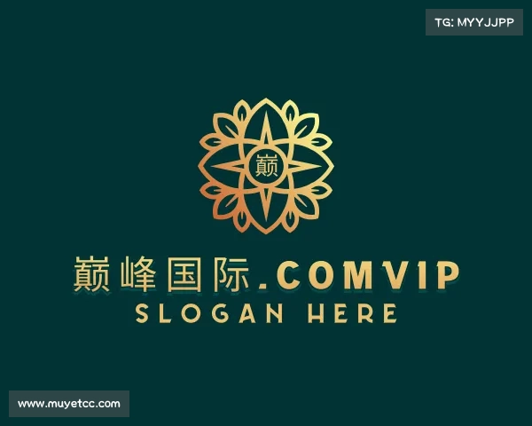 介绍巅峰国际.comvip